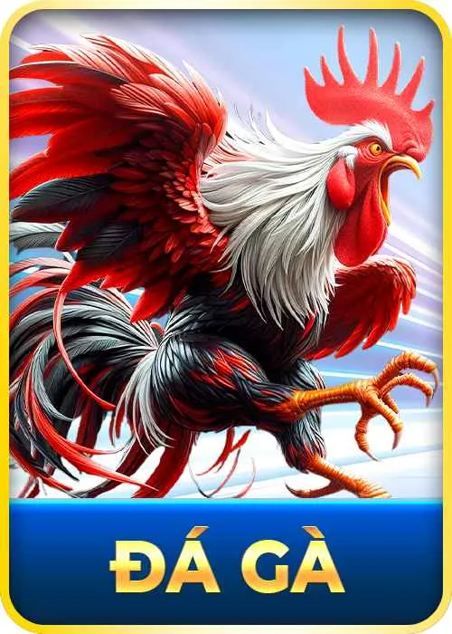 đá gà