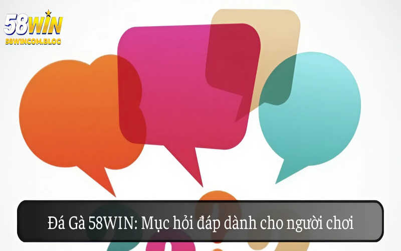 Đá Gà 58Win Mục hỏi đáp dành cho người chơi