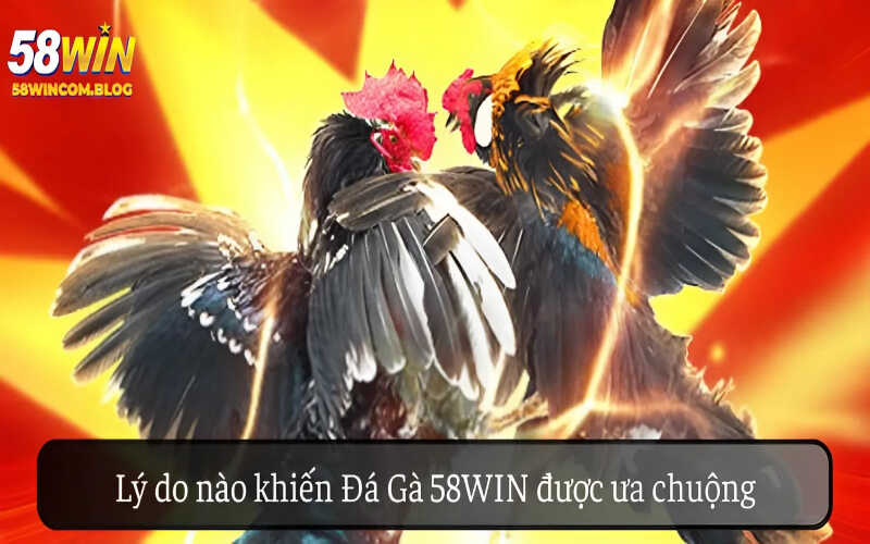 Lý do nào khiến Đá Gà 58Win được ưa chuộng hơn các nền tảng khác