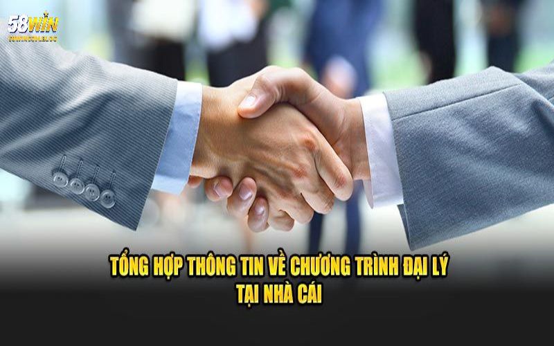 Hoạt động của mô hình đại lý