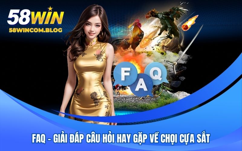 FAQ - Giải đáp câu hỏi hay gặp về chọi cựa sắt